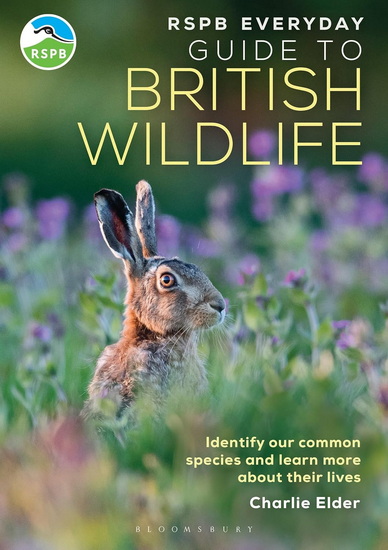 RSPB Everyday Guide to British Wildlife: Identify our common species and learn more about their lives - CHARLIE ELDER