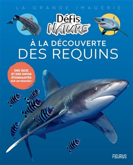 A la découverte des requins - DAMIEN VALLOT