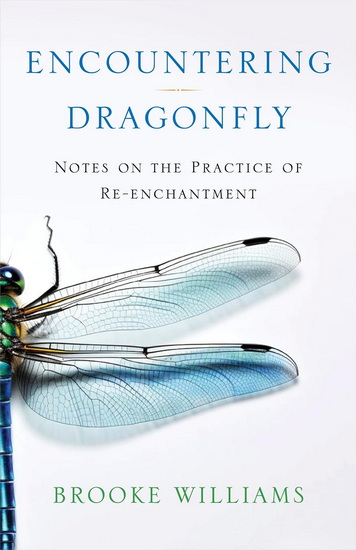 Encountering Dragonfly: Notes on the Practice of Re-enchantment - BROOKE WILLIAMS