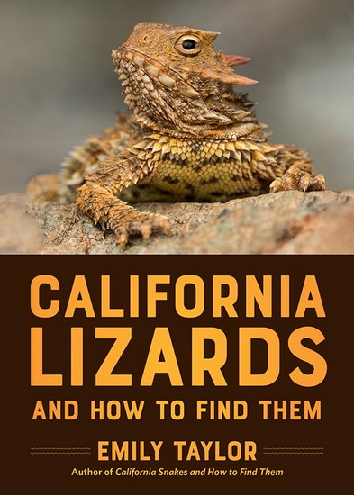 California Lizards and How to Find Them - EMILY TAYLOR