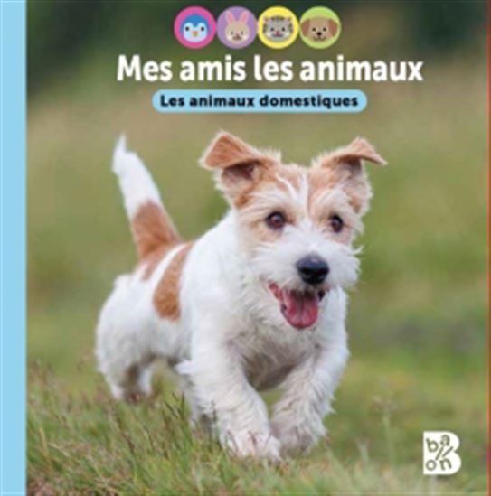 Les Animaux domestiques - COLLECTIF