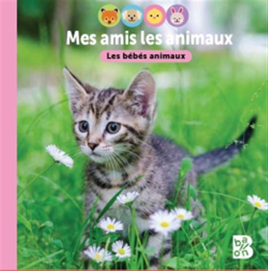 Les Bébés animaux - COLLECTIF