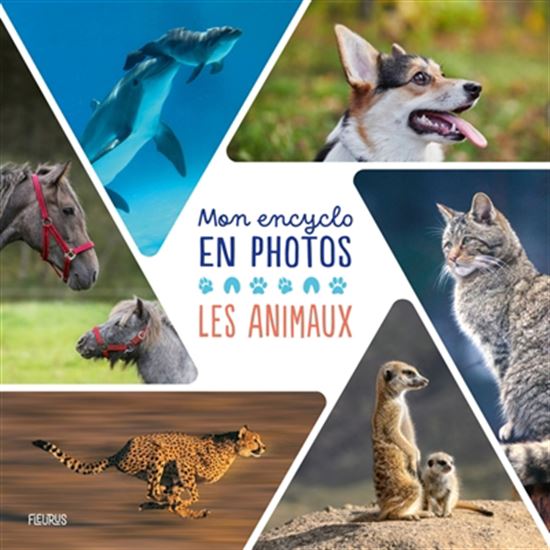 Mon encyclo en photos : Les animaux - COLLECTIF