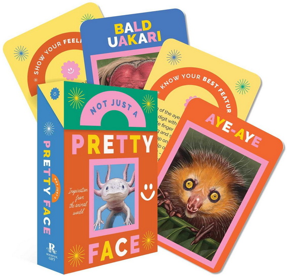 Not Just a Pretty Face - COLLECTIF