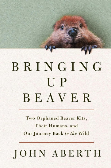 Bringing Up Beaver - JOHN ABERTH