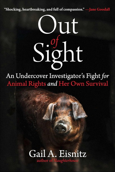 Out of Sight - GAIL A EISNITZ