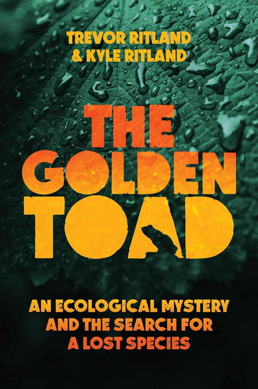 The Golden Toad - TREVOR RITLAND