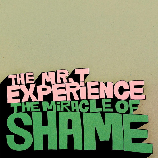 The Miracle Of Shame (Vinyle) - MR. T EXPERIENCE