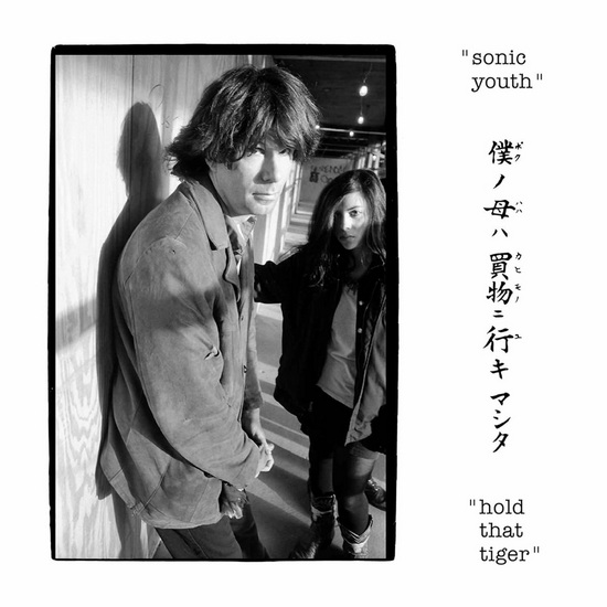 Hold That Tiger (Vinyle) - SONIC YOUTH