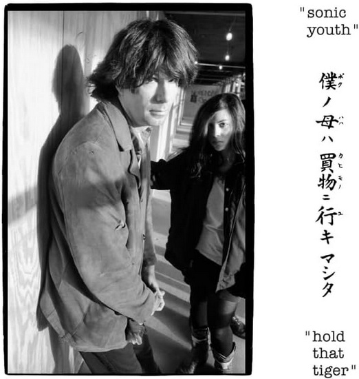 Hold That Tiger (Vinyle - Couleur) - SONIC YOUTH