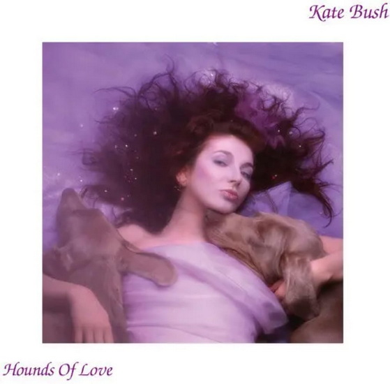 Hounds Of Love (Fish People edition Vinyl) - KATE BUSH
