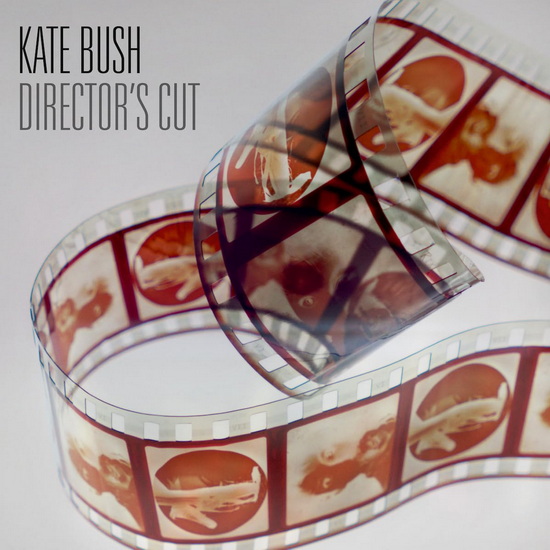 Director's Cut (Fish People edition Vinyl) - KATE BUSH