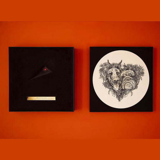 Hounds Of Love (Lost At Sea Box A edition Vinyl - art box UV printed) - KATE BUSH