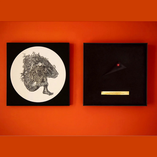 Hounds Of Love (Lost At Sea Box B edition Vinyl - art box UV printed) - KATE BUSH