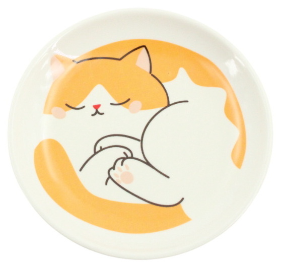 Vide poche chat roux
