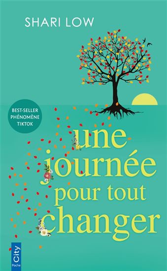 Une journée pour tout changer - SHARI LOW