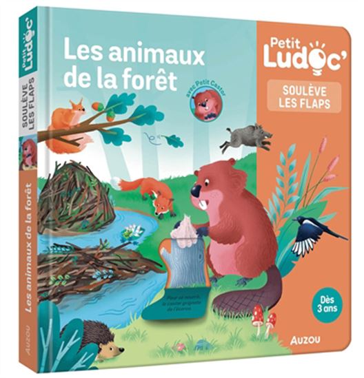 Les Animaux de la forêt : soulève les flaps - SOPHIE BLITMAN - CAMILLE LOISELET