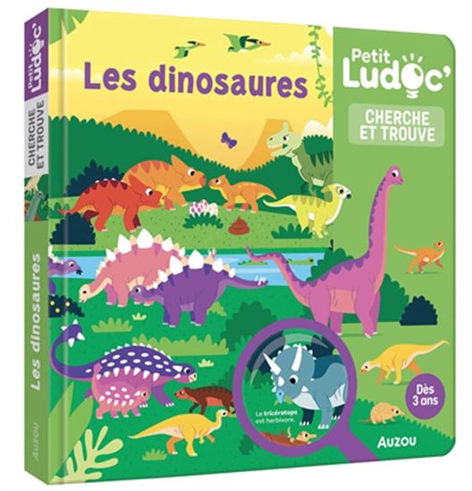 Les Dinosaures : cherche et trouve - MATHILDE PARIS - DIEGO VAISBERG