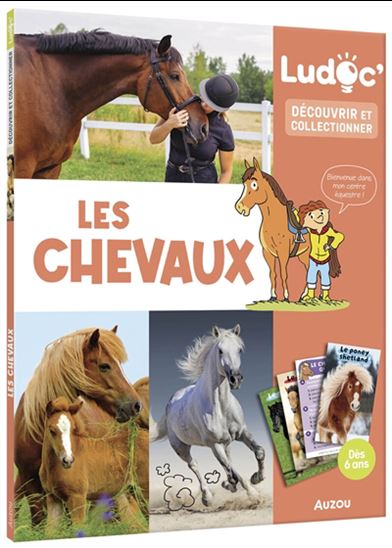 Les Chevaux : découvrir et collectionner - ANOUK JOURNO-DUREY - LAURENT AUDOUIN
