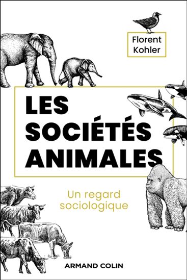 Sociétés animales - FLORENT KOHLER