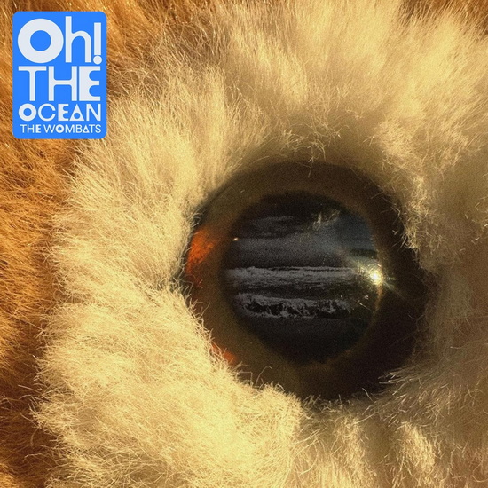 Oh! The Ocean - THE WOMBATS
