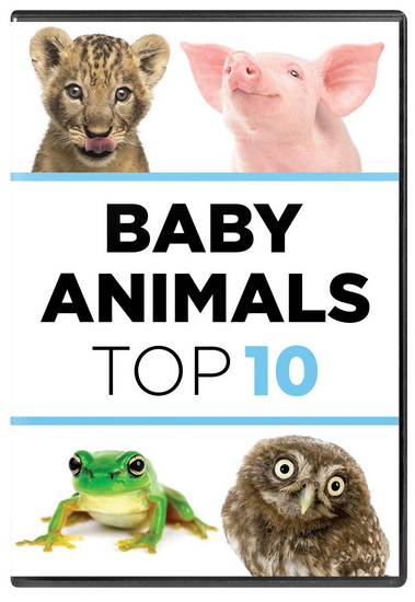 Baby Animals: The Top Ten