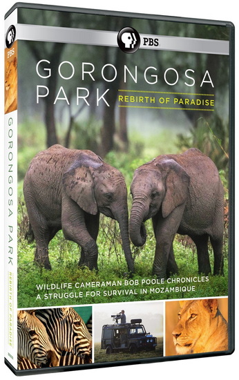 Gorongosa Park Rebirth of Paradise