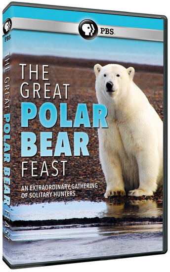 Great Polar Bear Feast, The