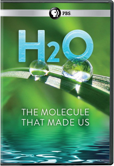 H2O: The Molecule That Made Us