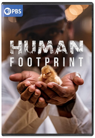 Human Footprint