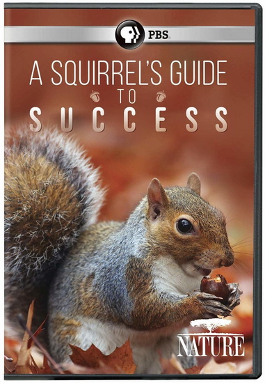 Nature: A Squirrel's Guide to Success