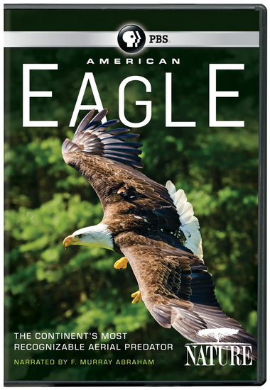 Nature: American Eagle (2016)