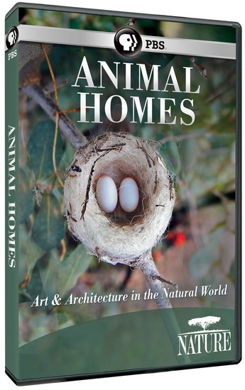 Nature: Animal Homes