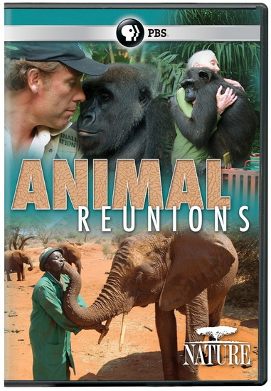 Nature: Animal Reunions