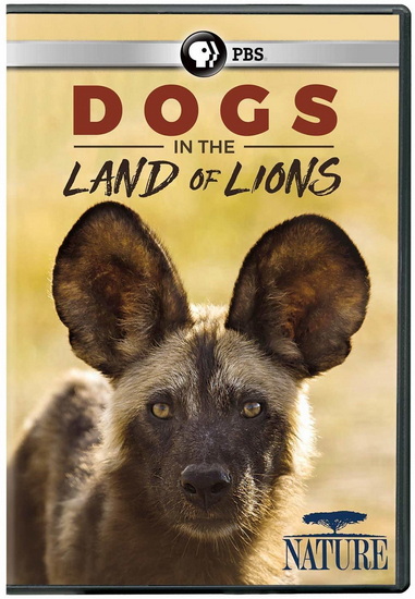 Nature: Dogs in the Land of Lions