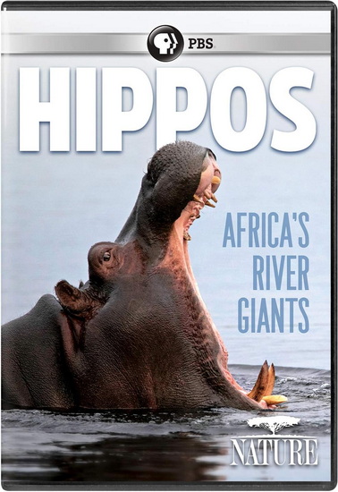 Nature: Hippos - Africa&#39;s River Giants