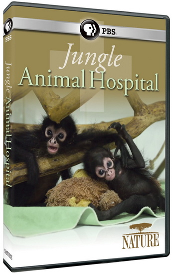 Nature: Jungle Animal Hospital
