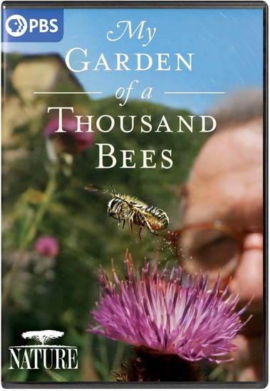 Nature: My Garden of a Thousand Bees