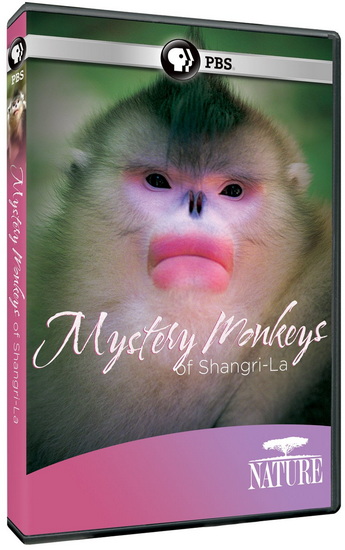 Nature: Mystery Monkeys of Shangri-La