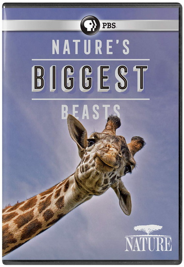 Nature: Nature&#39;s Biggest Beasts