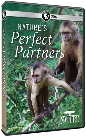 Nature: Nature&#39;s Perfect Partners
