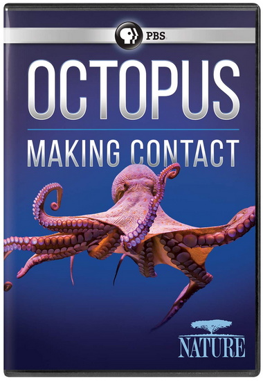 Nature: Octopus - Making Contact