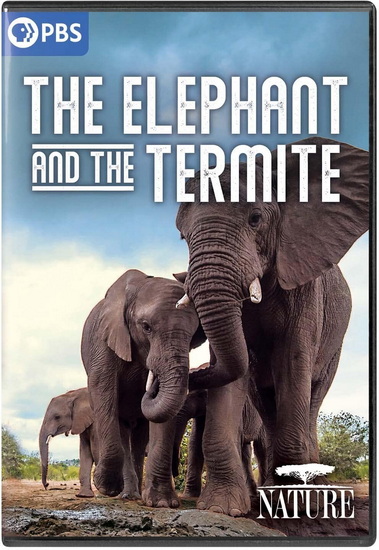Nature: The Elephant and the Termite