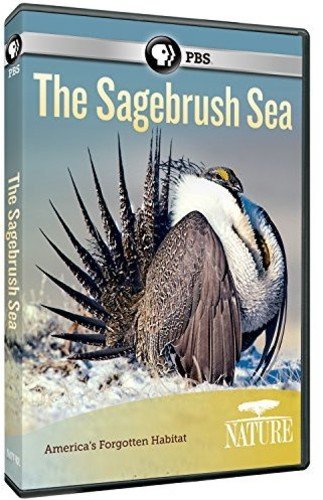 Nature: The Sagebrush Sea