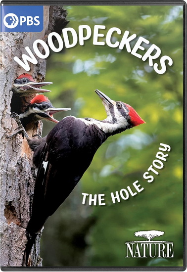 Nature: Woodpeckers - The Hole Story