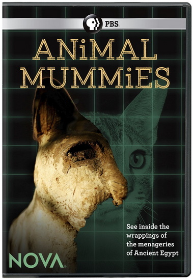 NOVA: Animal Mummies