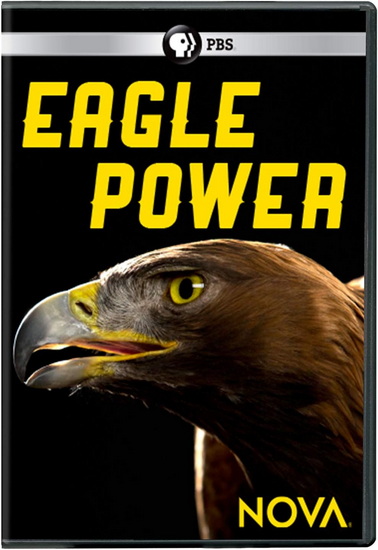 NOVA: Eagle Power