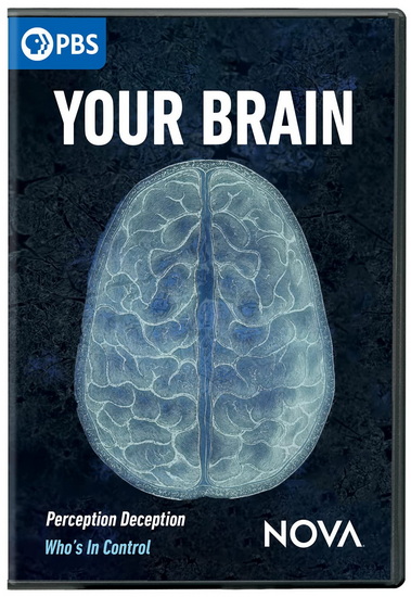 NOVA: Your Brain