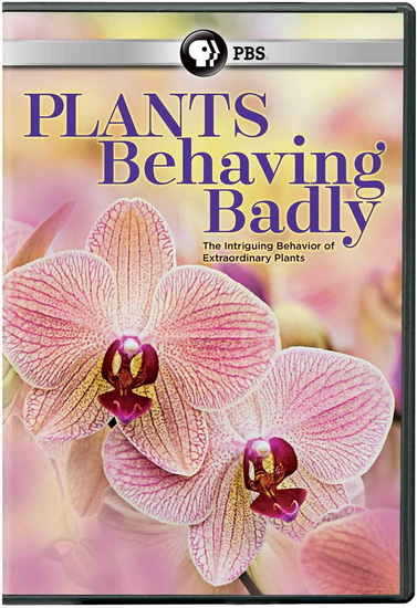 Plants Behaving Badly