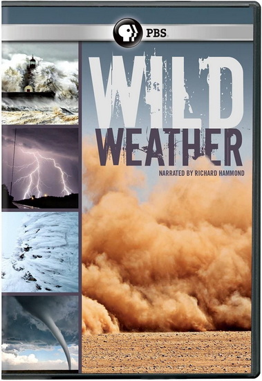 Wild Weather